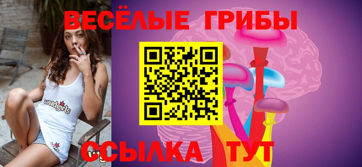 Псилоцибиновые грибы мицелий  Вход с VPN  Подольск 