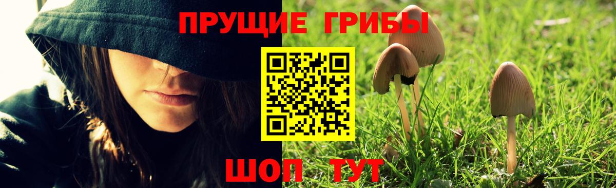 Галлюциногенные грибы Cubensis Подольск